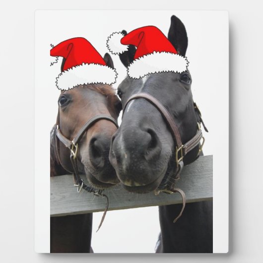 クリスマスの馬 フォトプラーク (正面)