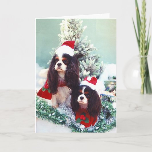 クリスマスの騎士 シーズンカード (正面)