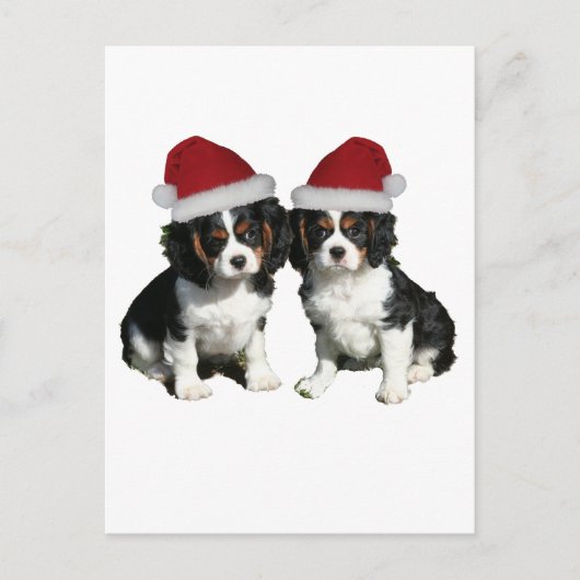 クリスマスの騎士 シーズンポストカード (正面)