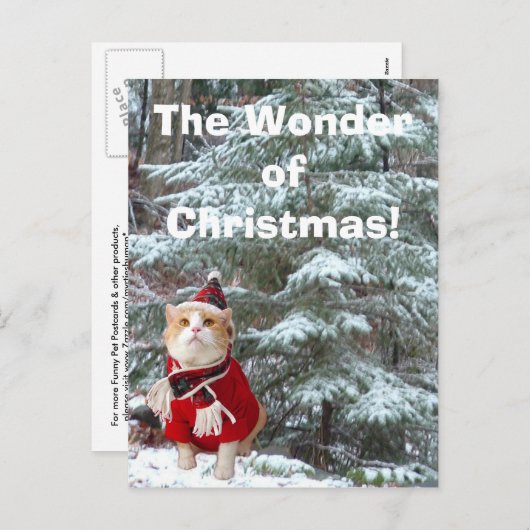 クリスマスの驚異! シーズンポストカード (正面/裏面)