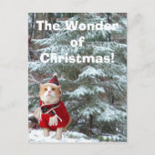 クリスマスの驚異! シーズンポストカード (正面)