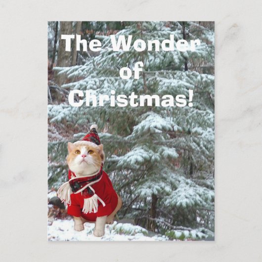 クリスマスの驚異! シーズンポストカード (正面)