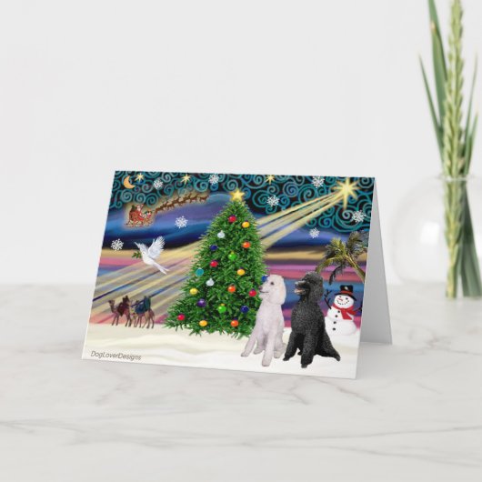 クリスマスの魔法 スタンダードプードル2匹 シーズンカード (正面)