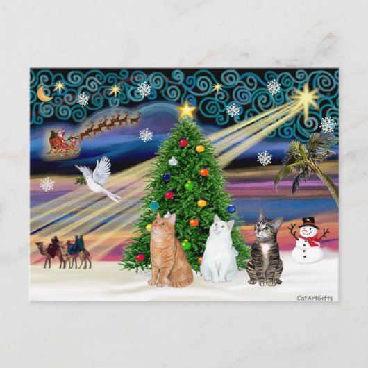 クリスマスの魔法 - 猫3匹 (トラ猫2匹 - 白) シーズンポストカード (正面)