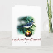 クリスマスの鳥のかわいらしいアオカケスの挨拶状 シーズンカード (裏面)