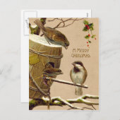 クリスマスの鳥のすずめの巣箱のヒイラギ シーズンポストカード (正面/裏面)