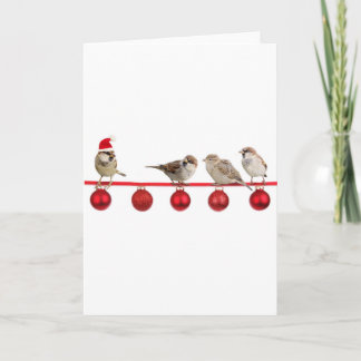 クリスマスの鳥のすずめ シーズンカード