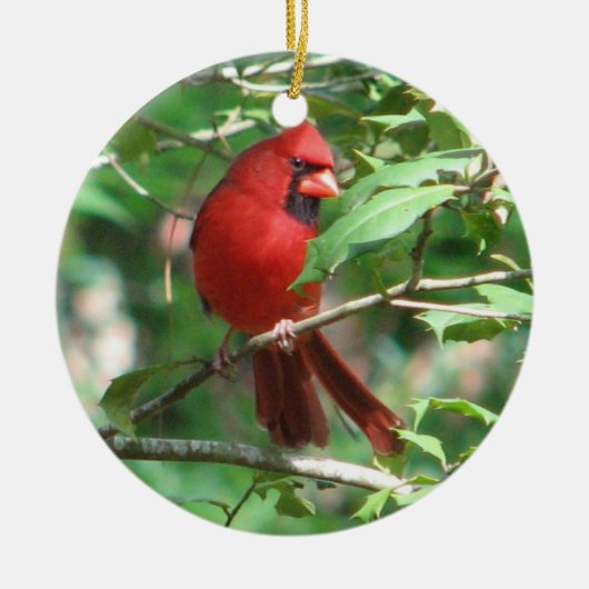 クリスマスの(鳥)ショウジョウコウカンチョウ セラミックオーナメント (正面)
