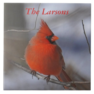 クリスマスの(鳥)ショウジョウコウカンチョウ タイル