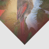 クリスマスの（鳥）ショウジョウコウカンチョウ 薄葉紙 (詳細)