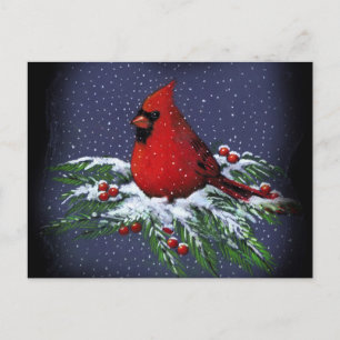 クリスマスの（鳥）ショウジョウコウカンチョウ: 鳥: 芸術: 雪 シーズンポストカード
