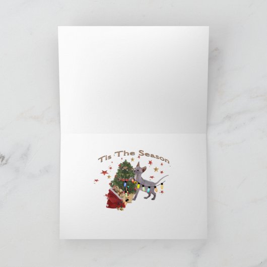 クリスマスのOrnamantsカードが付いているSphynxの子ネコの演劇 シーズンカード (内部)