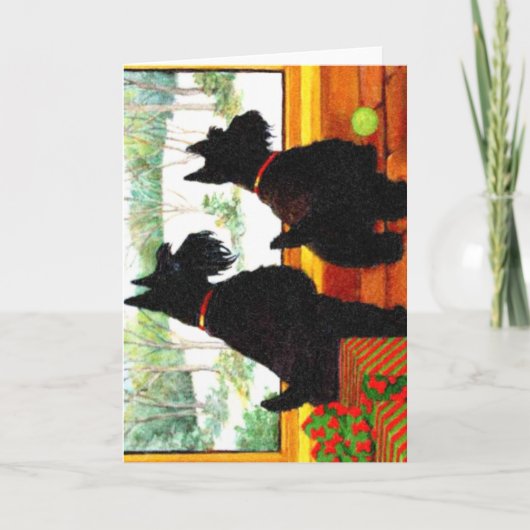 クリスマスのScotty 2匹の犬 シーズンカード (正面)