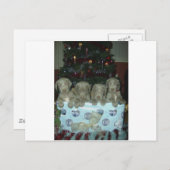 クリスマスのWeimaranerの子犬 シーズンポストカード (正面/裏面)