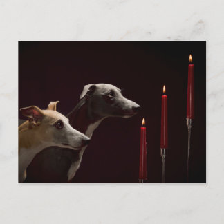 クリスマスのWhippets シーズンポストカード