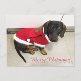 クリスマスはがき シーズンポストカード