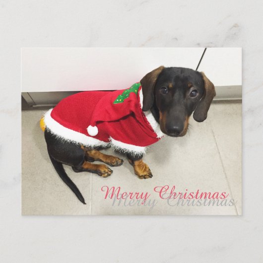 クリスマスはがき シーズンポストカード (正面)