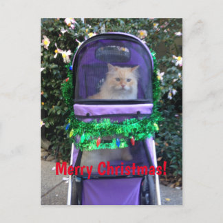 クリスマスはがき ポストカード