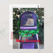 クリスマスはがき ポストカード (正面/裏面)