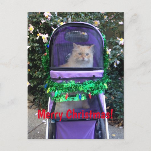 クリスマスはがき ポストカード (正面)