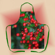 クリスマスはベリーだ！