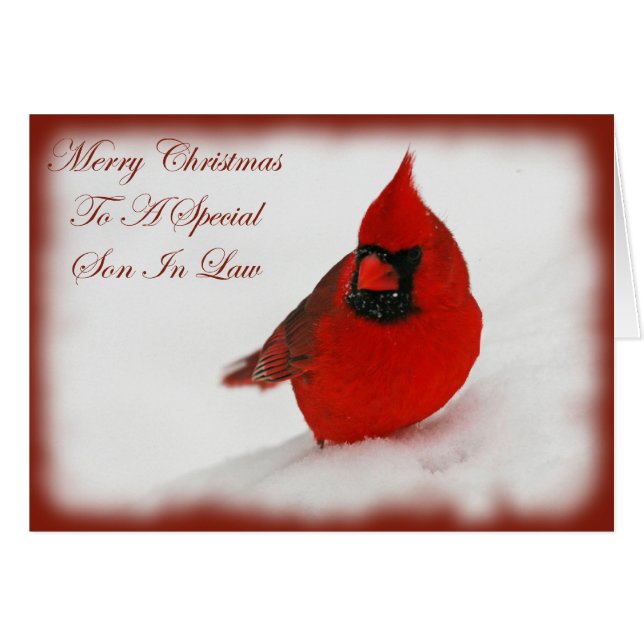 クリスマスは基本的な義理の息子を望みます (正面横)