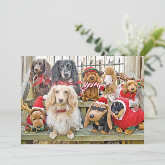 クリスマスは家族全員を集める シーズンカード (スタンド正面)