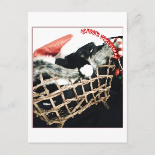 クリスマスは真っ黒だ ポストカード (正面)