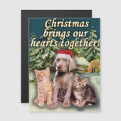 クリスマスは私達のハートの子犬の子ネコを一緒に持って来ます (正面/裏面)