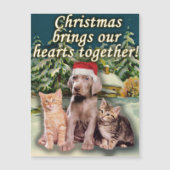 クリスマスは私達のハートの子犬の子ネコを一緒に持って来ます (正面)