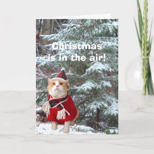 クリスマスは空中だ！ シーズンカード (正面)