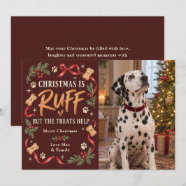 クリスマスは荒れる犬の写真 シーズンカード
