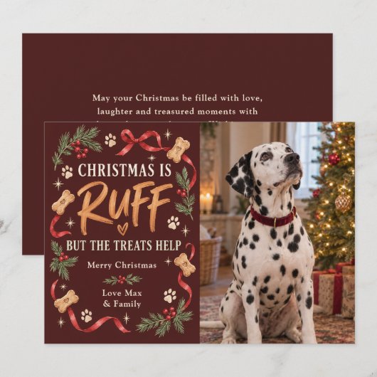 クリスマスは荒れる犬の写真 シーズンカード (正面/裏面)