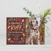 クリスマスは荒れる犬の写真 シーズンカード (スタンド正面)