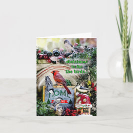 クリスマスは鳥の小さなクリスマスカードのためだ カード