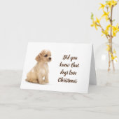 クリスマスは、このコッカースパニエル犬の「特別」だ カード (黄色い花)