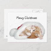 クリスマスよくはしゃぐ子猫 シーズンポストカード (正面/裏面)