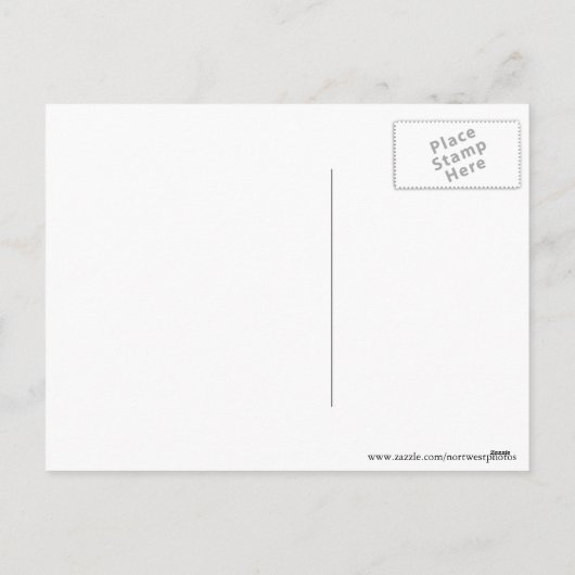 クリスマスを歌う白いアヒル シーズンポストカード (裏面)