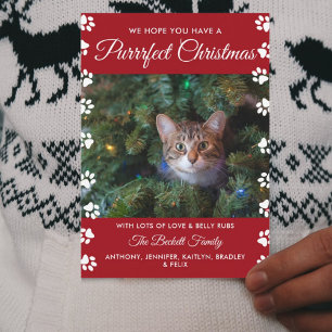 クリスマスを狙う 猫の休日の写真 シーズンカード