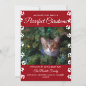 クリスマスを狙う |猫の休日の写真 シーズンカード (正面)