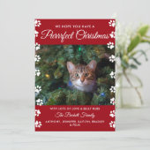 クリスマスを狙う |猫の休日の写真 シーズンカード (スタンド正面)