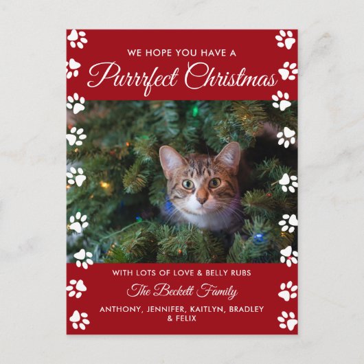 クリスマスを狙う |猫の休日の写真 シーズンポストカード (正面)