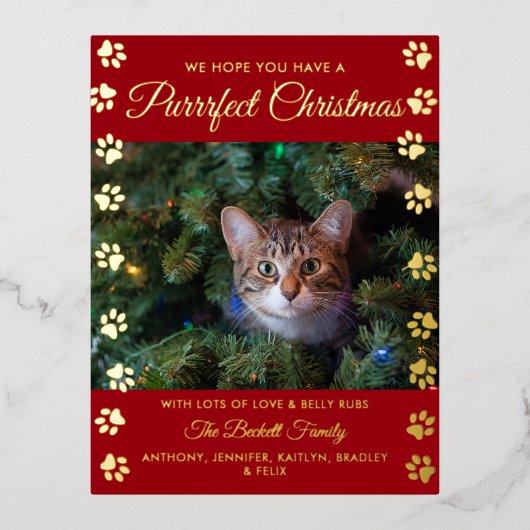 クリスマスを狙う |猫写真実在 箔シーズンポストカード (正面)