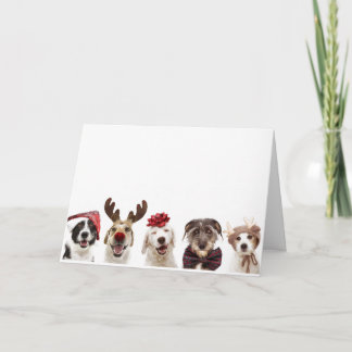 クリスマスを祝う犬のクリスマスカード サンキューカード