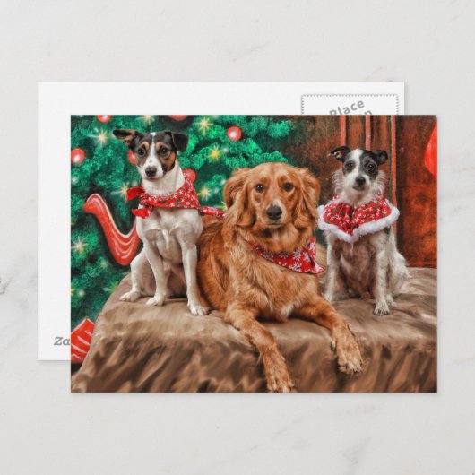 クリスマスを祝っている犬 シーズンポストカード (正面/裏面)