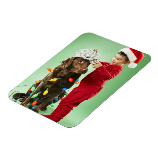 クリスマスを飾る若い男のまわりにの子が犬を照らす マグネット (左側)