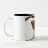 クリスマスを飾る ツートーンマグカップ (左)