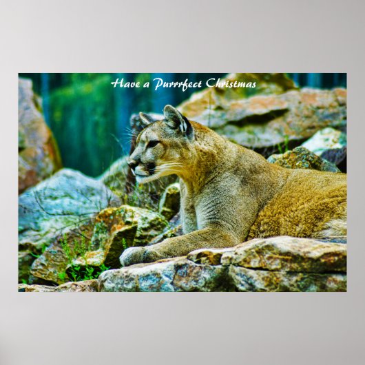 クリスマスを飾る ポスター (正面)