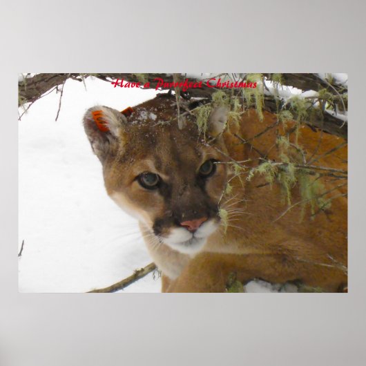 クリスマスを飾る ポスター (正面)