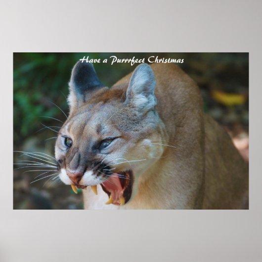 クリスマスを飾る ポスター (正面)